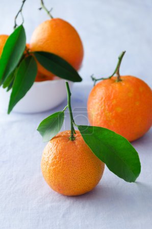 multiple ripe tangerines