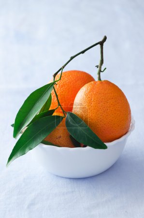 multiple ripe tangerines